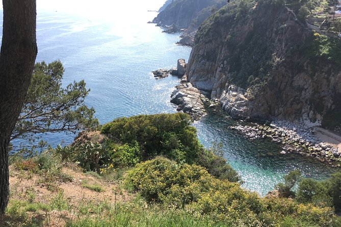From Barcelona : Tossa de Mar, Coastal Path, Boat and Costa Brava - Who This Tour Fits Best