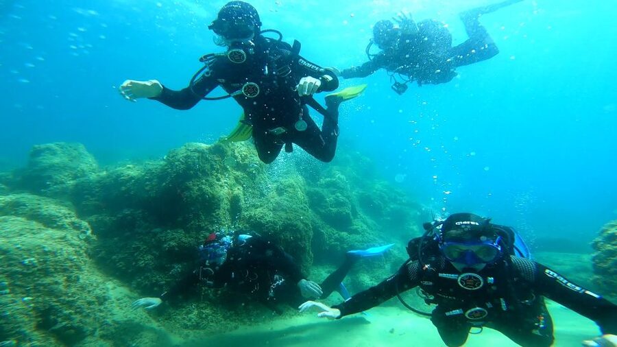 From Barcelona: Tossa de Mar Scuba Diving and 3-Course Meal - What you actually see underwater around Tossa de Mar
