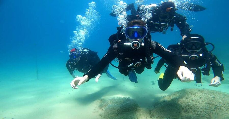 From Barcelona: Tossa de Mar Scuba Diving and 3-Course Meal - Who should book this tour, and who should skip it