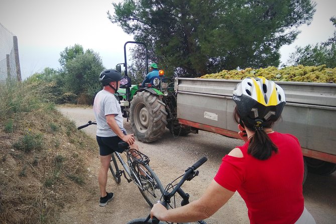 From Sitges: Bike Tour and Winery Visit with Free Hotel Pick Up. - Who This Tour Fits Best (and When to Skip It)