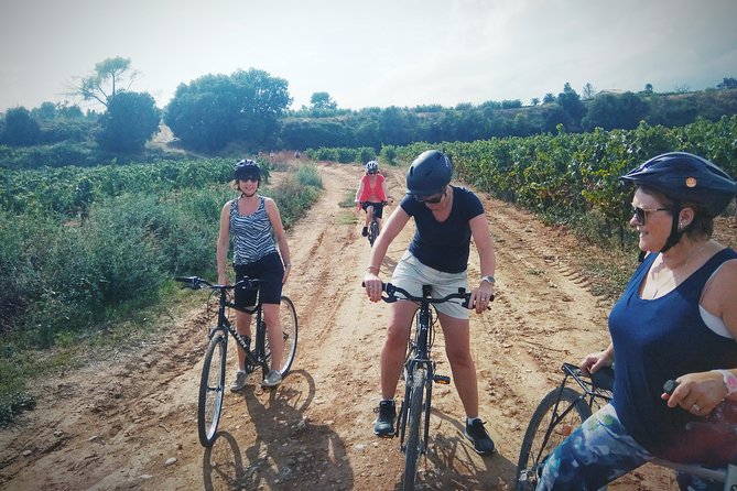 From Sitges: Bike Tour and Winery Visit with Free Hotel Pick Up. - Should You Book This Tour?