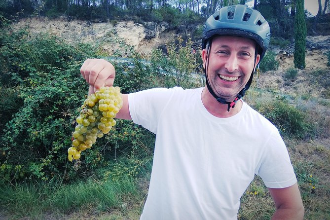 From Sitges: Bike Tour and Winery Visit with Free Hotel Pick Up. - Alt Penedes Cycling: Vineyards, One Hill, and a Comfortable Pace