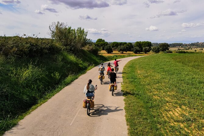 Full-Day Costa Brava and E-Bikes Guided Tour from Barcelona - Key Highlights