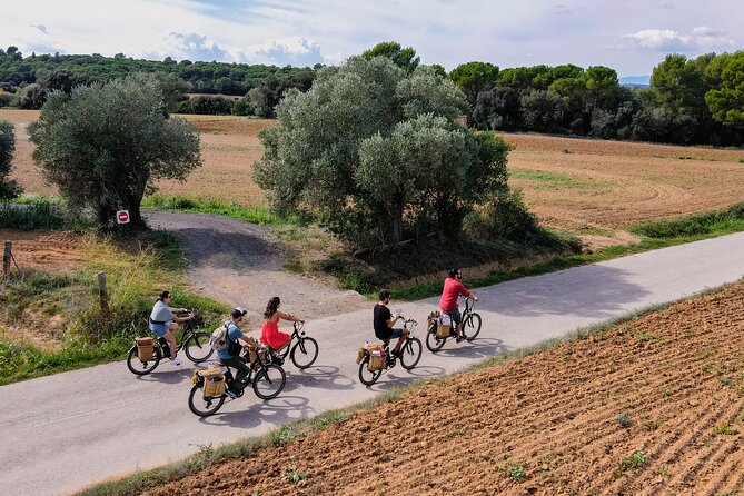 Full-Day Costa Brava and E-Bikes Guided Tour from Barcelona - Calella de Palafrugell, Costa Brava Swim Time, and Lunch on Your Schedule