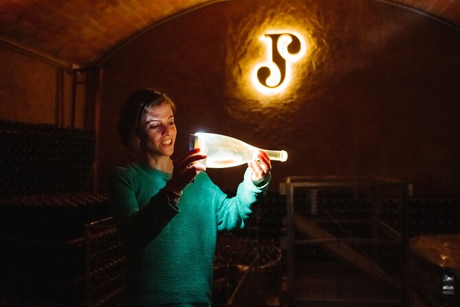 Full-Day Trip Barcelona to Montserrat Monastery & Cava Winery - Vineyard lunch: farm-to-table food with a view