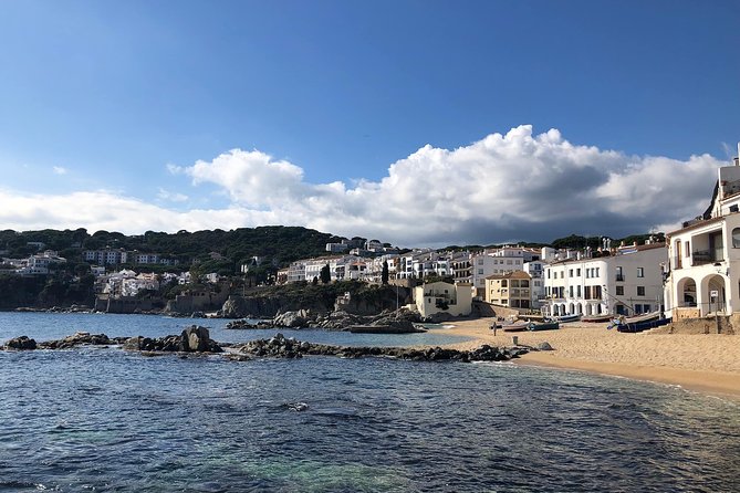 Girona and Costa Brava Private Day Trip from Barcelona - Private guide energy: how it changes pacing and choices