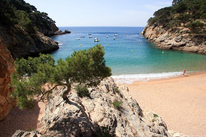 Girona & Costa Brava Small-Group Tour with Pickup from Barcelona - Cathedral, Arab Baths, and the optional ticket choices