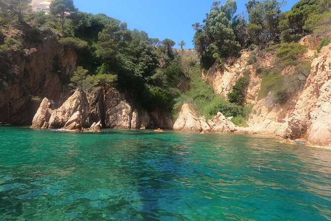 Guided Kayak & Snorkel tour to Costa Brava: Small Group and Lunch - Price and value: what $107 buys you on a sea day