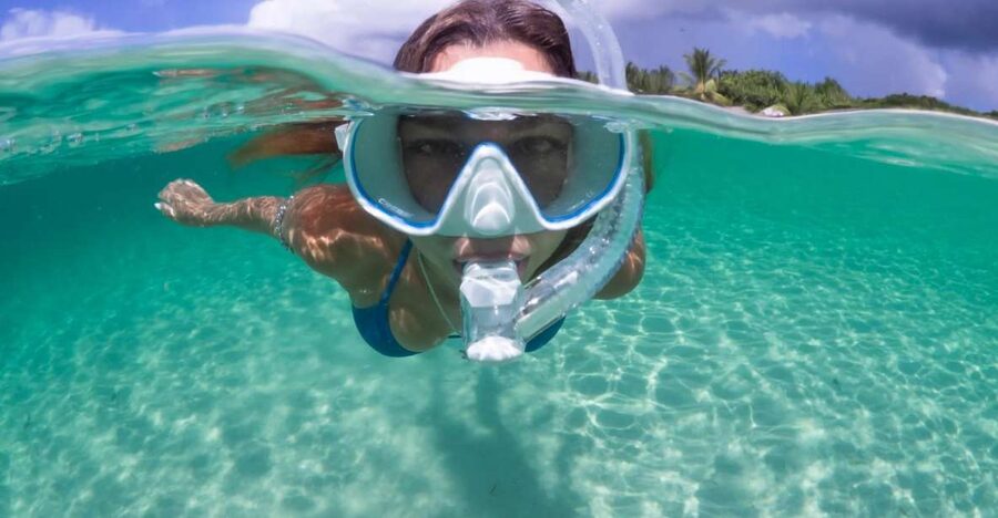 Guided Snorkel in Barcelona Beach - Key things to know before you go