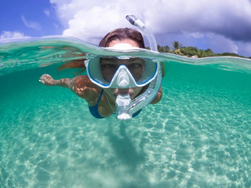 Guided Snorkel in Barcelona Beach - Entering the Underwater World: What You’ll Actually See
