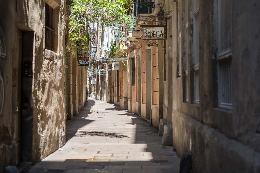 Guided tour of Barcelona in French (Old Town & Instagram spots) - Price and value for 43 dollars: where your money actually goes