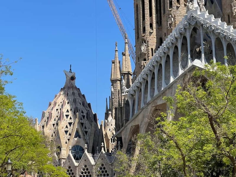 Guided Tour of Sagrada Familia - Gaudi's dream - What the guide helps you notice that most people miss