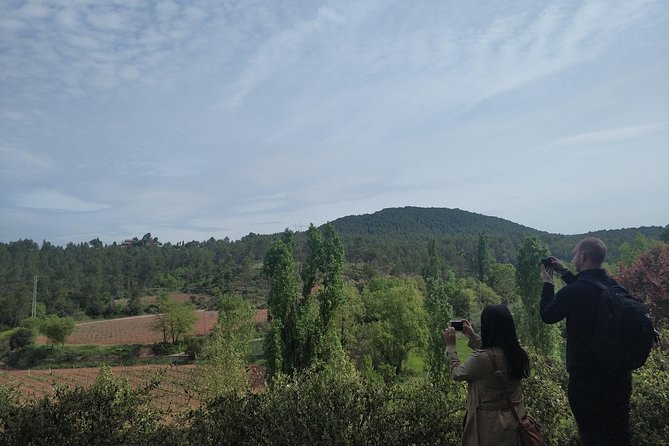Half Day Private Wine & Oil Tasting Tour near Barcelona with hotel pick up - What You Actually Get to Taste (So You Can Decide If It’s Your Thing)