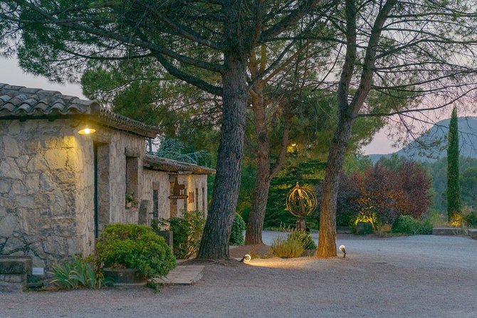 Half Day Private Wine & Oil Tasting Tour near Barcelona with hotel pick up - Olive Oil After Wine: Learning the Catalan Culture in Navas