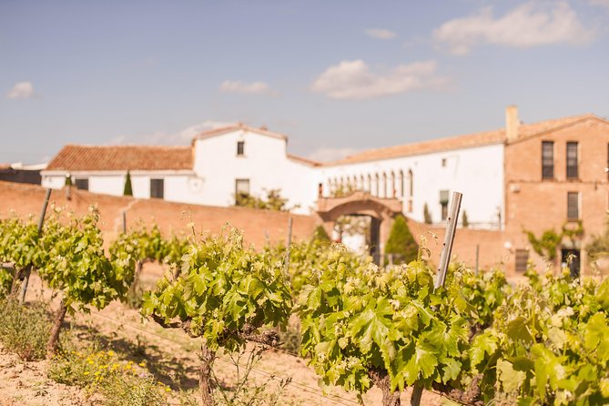 High-End Vineyard Escape: Cava, Tapas & Wine | Private Tour - Stop 2 Finca Ca nEstella: the veranda meal, empedrat, and pa amb tomàquet