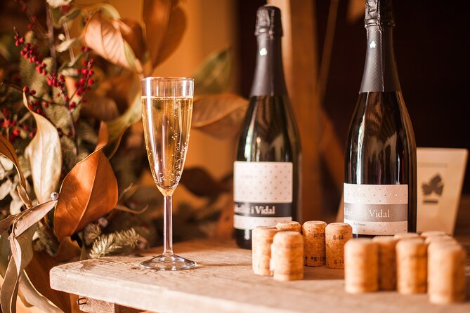 High-End Vineyard Escape: Cava, Tapas & Wine | Private Tour - Stop 3 Oller del Mas: family ownership and a local identity obsession