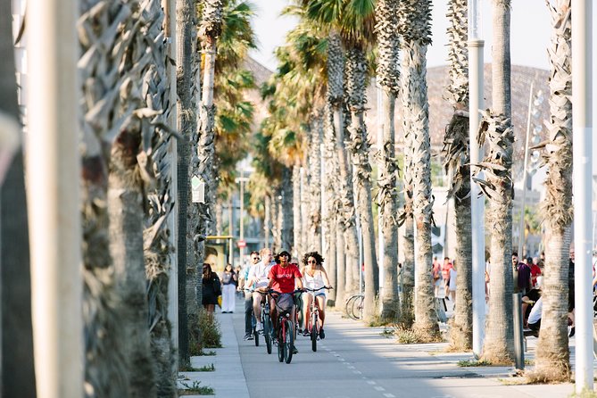Highlights & Hidden Spots of Barcelona Bike Tour w/ Local Guide - Meeting Point, Bikes, and the “Get It Done” Setup