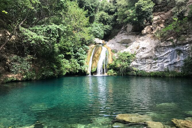 Hike to Secret Waterfalls of the Pyrenees Mountains, From Barcelona & Girona - From Passeig de Gràcia to Alta Garrotxa: the point of this day trip