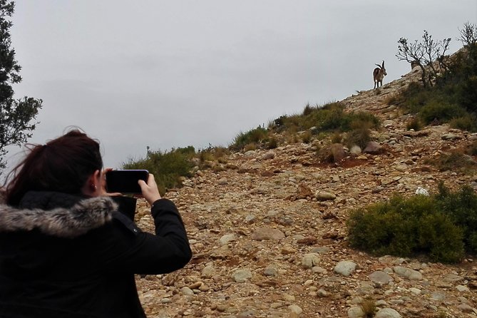 Historical Montserrat Half-Day Hiking Tour from Barcelona - Logistics that matter: meeting point, timing, and group size