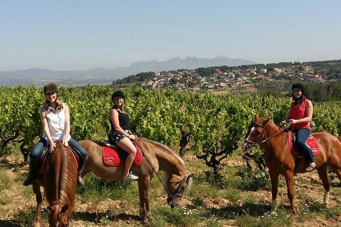 Horseback Ride, Penedes, Wine Tasting & Tapas Private Tour - Key highlights to know before you go
