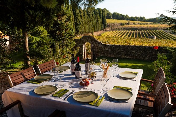 Horseback Ride, Penedes, Wine Tasting & Tapas Private Tour - Penedes vineyards, on a horse (and without the pressure)