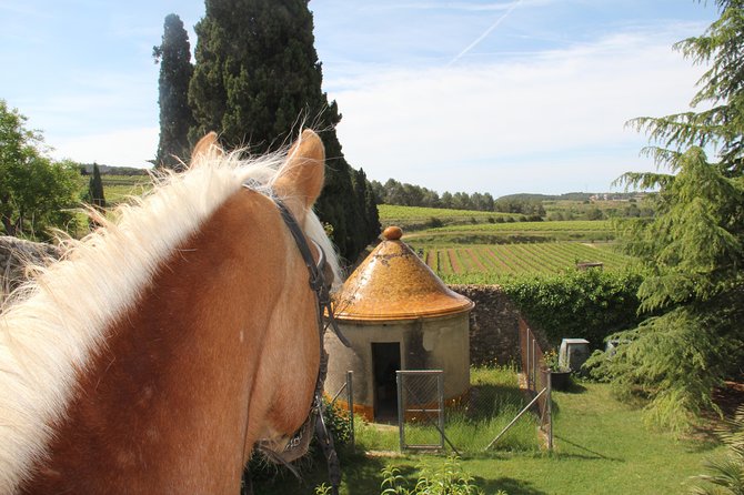 Horseback Ride, Penedes, Wine Tasting & Tapas Private Tour - Tapas and wine tasting lunch: why the food pairing matters