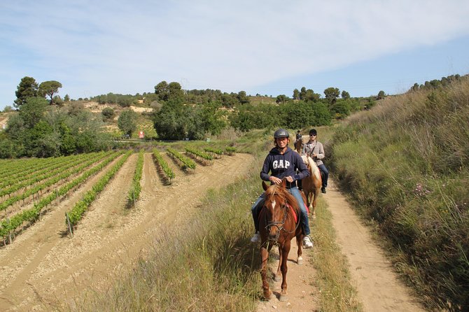 Horseback Ride, Penedes, Wine Tasting & Tapas Private Tour - Hotel pickup from Barcelona, so you start the day relaxed