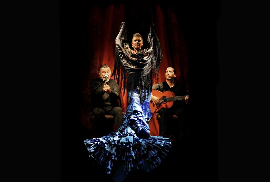 Intimate Authentic Flamenco Show in Barcelona at Casa Sors - Your Evening Flow: Seats, Performance, Then the Guitar Museum