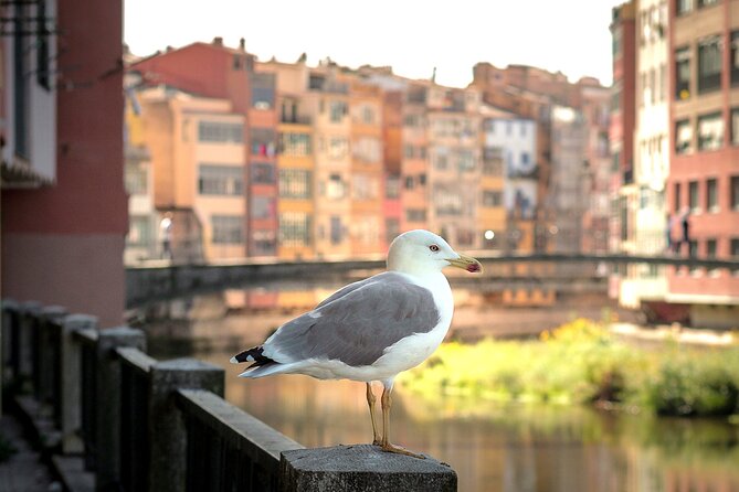 Medieval Girona & Costa Brava’s Top Beach–Unforgettable Day Trip - A 10-hour Girona and Costa Brava loop that feels efficient