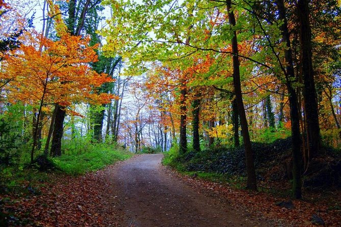 Medieval Villages & La Garrotxa Volcanic Zone Hiking. Small Group Tour - Castellfollit de la Roca Basalt Cliffs and Lunch Option