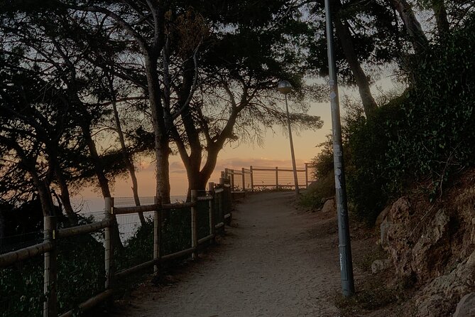 Montjuïc Magic: Hidden Pathways, Vermut Delights & Sunset Bliss - Jardins del Mirador del Alcalde: the panoramic reset you need