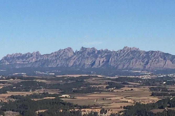 Montserrat & best winery private tour experience with a local expertise - Oldest-Winery Visits and Ecological Cava Stops