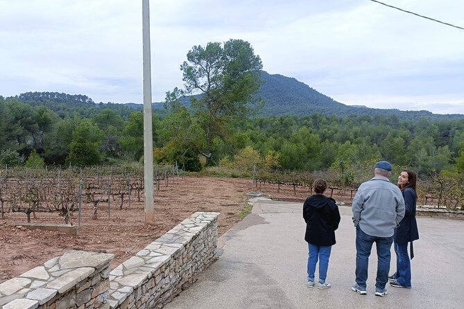 Montserrat & beyond private tour with pickup, tickets & options - Optional winery and lunch add-ons, how much extra you should budget