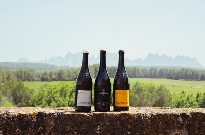 Montserrat & Boutique Winery with Catalan Brunch | Private Tour - Is It Worth $535.30 Per Person? A Value Check