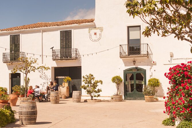 Montserrat & Boutique Winery with Catalan Brunch | Private Tour - Who This Tour Suits Best (and Who Should Skip It)