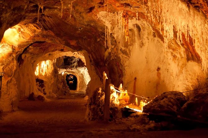 Montserrat, Cardona and Salt Mountain Small Group Tour - Price and value: why $129.69 can work out well here