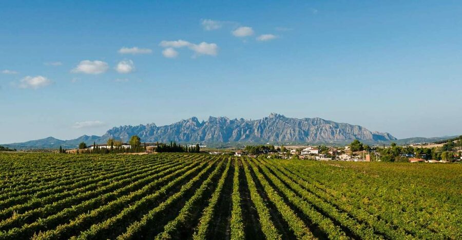 Montserrat & Cava Wineries Day Trip from Barcelona w/ Pickup - Montserrat Monastery and Santa Cova: the pilgrimage part you should not rush