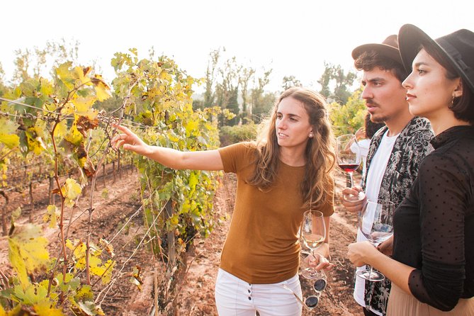 Montserrat & Cogwheel Train, Gourmet Wine Tasting & Tapas/Lunch - Tapas lunch vs full lunch vs tapas-only packages