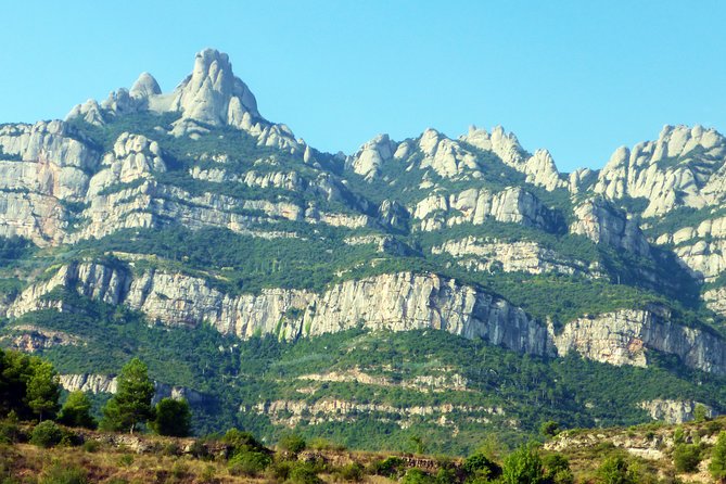 Montserrat Guided Tour with Cogwheel or Cable Car & Black Madonna - The 65-Minute Free Time Block, Plus the Marketplace Moment