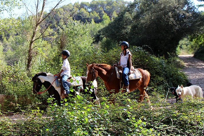 Montserrat Horseback Riding & Monastery – Small Group (Max 8) - Optional natural-park walk: easy stretch, big payoffs