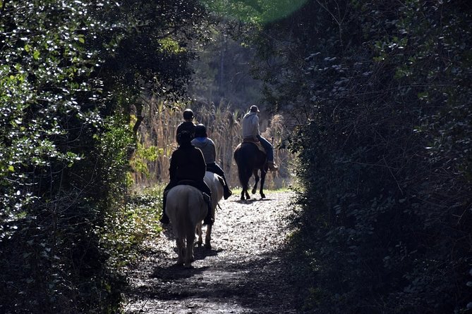 Montserrat Horseback Riding & Monastery – Small Group (Max 8) - Price and value: is it worth $118.94?