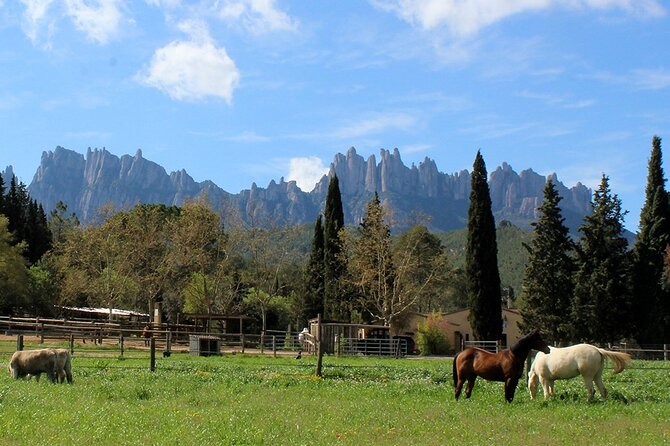 Montserrat Horseback Riding & Monastery – Small Group (Max 8) - Comfort tips and what to pack for a mountain ride day