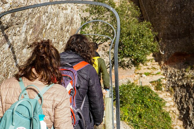 Montserrat Monastery and Mountain Half Day Hiking from Barcelona - Stop 2: Abadia de Montserrat and the Black Madonna