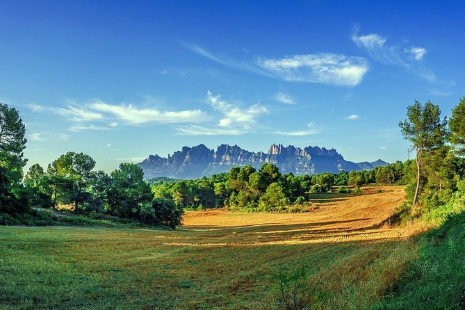 Montserrat Monastery Small Group or Private Tour Hotel pick-up - Rocky Massif time: what to do with your first 30 minutes