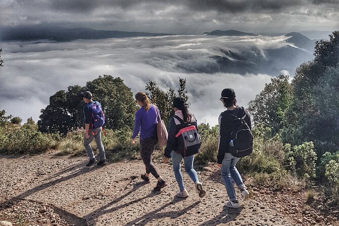 Montserrat Nature Experience, Monastery and Museum - Price and value: why about $90.11 can feel fair