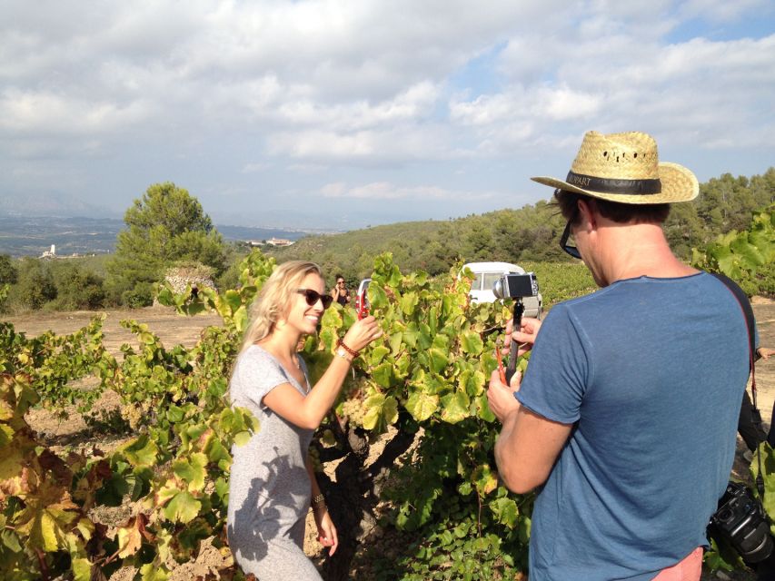 Montserrat Private Day Trip & Codorniu Cava Cellar Tasting - How the private Montserrat and cava day trip plays out from Barcelona
