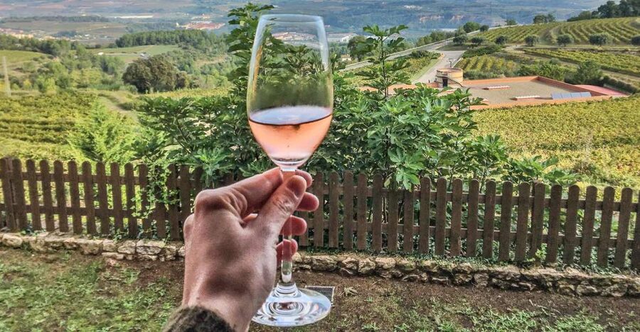 Montserrat Private Day Trip & Codorniu Cava Cellar Tasting - The cava tasting: two premium bottles, one guided lesson