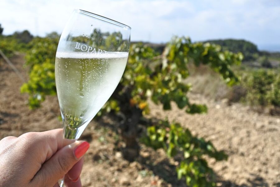Montserrat Private Day Trip & Codorniu Cava Cellar Tasting - Panoramic viewpoints and the Sant Miquel cross walk