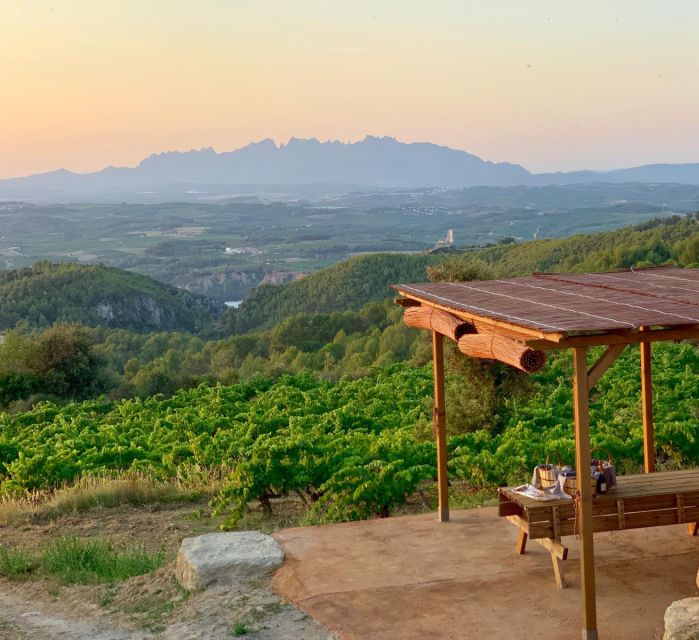 Montserrat Private Day Trip & Codorniu Cava Cellar Tasting - Abbey time, free exploring, and the food market stop