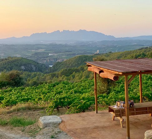 Montserrat Private Day Trip with Codorniu Cava Cellar Tasting - The Montserrat Boys’ Choir: pure atmosphere, extra cost, limited slots
